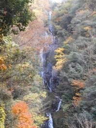 展望台から眺める常清滝と紅葉は絶景