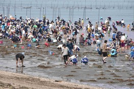 宝探しのような感覚で心ゆくまで潮干狩りを楽しむことができる