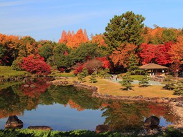 日本庭園周辺では様々な色のコントラストが楽しめる