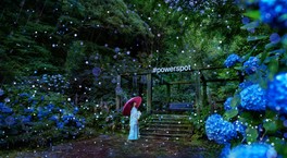 雨の日ならではの風景を楽しめる