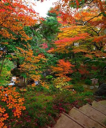 加賀百万石の名園で いにしえに想いを馳せる