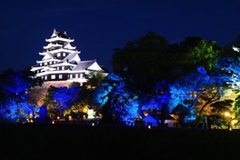岡山城一帯がライトアップされ、日中とは違う幻想的な光景が広がる(画像は過去開催時の風景)