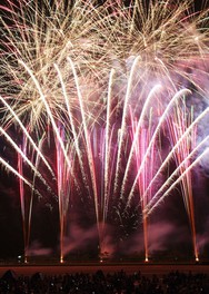 夜空に大輪の花が咲き誇る