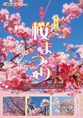 淡路島国営明石海峡公園 早咲き桜まつり 兵庫県 の情報 ウォーカープラス