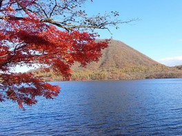 深い青色の榛名湖と赤いモミジの調和を楽しめる