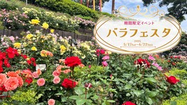 約150品種、1400株のバラが咲き誇るバラエン