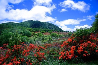 赤城山新緑 つつじweek 群馬県 の情報 ウォーカープラス