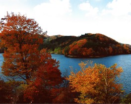 湖畔の木々が赤く紅葉する