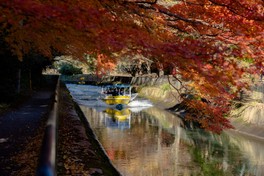 びわ湖疏水船で巡る、色鮮やかな紅葉の中の水上の旅