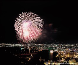 大輪の花火が夜空を彩る