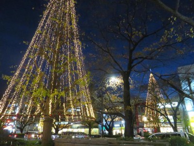 国立駅前大学通りクリスマスイルミネーション 東京都 の情報 ウォーカープラス