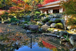 園内の日本家屋から紅葉で彩られた庭園を楽しめる