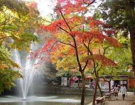 加茂山の秋の風景