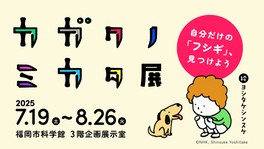 見て、触って、並べて、比べて、考えて、日常の中にある不思議を見つける