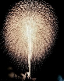 響き渡る音と一面に花開く花火は大迫力