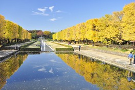 カナールイチョウ並木は人気の紅葉スポット