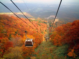 栃木県のイベント情報一覧 今日 13件 ウォーカープラス