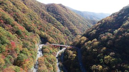 紅葉に彩られる仙人峠