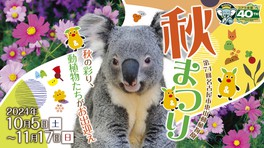 動物たちに関するイベントが盛りだくさん