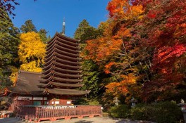 奈良県のイベント情報一覧 今日 45件 2ページ目 ウォーカープラス