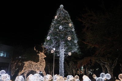 みさわクリスマスフェスティバル21 青森県 の情報 ウォーカープラス