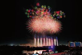 夜空を埋め尽くす色鮮やかな大輪の花火