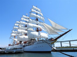 海王丸の総帆展帆