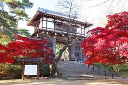 紅葉に包まれる久保田城表門