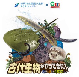 古代生物に会いに行こう