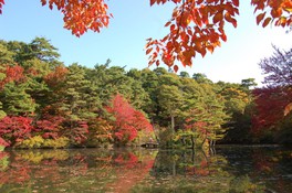 長谷池は園内一の紅葉スポット
