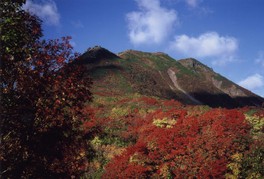 山頂からニセコの山々が望め、眼下に広がる紅葉も美しい