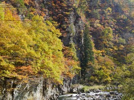 渓谷を華やかにする紅葉