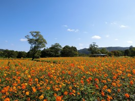 東北のイベント 子供と 情報一覧 今週末 72件 ウォーカープラス