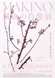 「ARTを感じる空間」ではセンダイヨシノのピンクプラチナプリントや植物のミクロの世界の高精細写真を展示