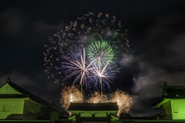 城郭を背景に豪快な花火が舞う