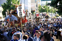 神輿パレードは約800人もの担ぎ手が集まる