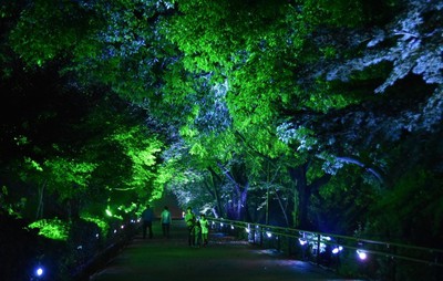 丸亀城キャッスルロード 香川県 の情報 ウォーカープラス