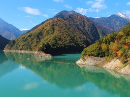 紅葉と水面のコントラストが美しい