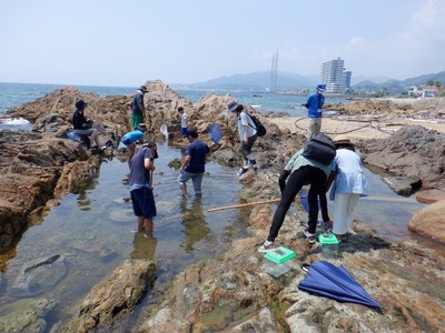 淡路島国営明石海峡公園 親子海辺のいきもの観察会(兵庫県)の情報｜ウォーカープラス