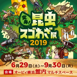 関東の体験イベント アクティビティ情報一覧 19年8月27日 火 件 3ページ目 ウォーカープラス