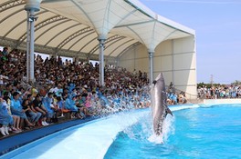 過去最多の水かけに挑戦