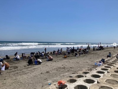 春の浜辺で潮干狩りを満喫