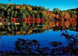 湖面に紅葉と青空が映し取られる