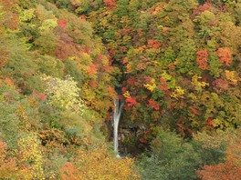 滝の周りの木々が赤や黄色に彩られる