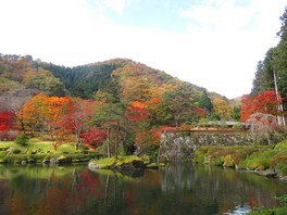 古峯園の池を彩る鮮やかな紅葉に目を奪われる