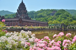 アンコール王朝最盛期の寺院「プラサット・ヒン・アルン」を6万本のバラがぐるっと囲む「大バラ庭園」