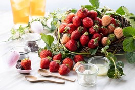 4種類のディップで味変しながらフレッシュないちごを思う存分味わえる