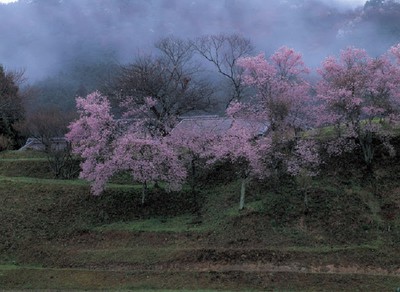 第16回美しい風景写真100人展 東京都 の情報 ウォーカープラス