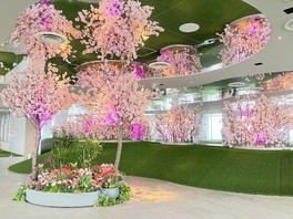 屋内にいながらも春の訪れを感じることができるイベント