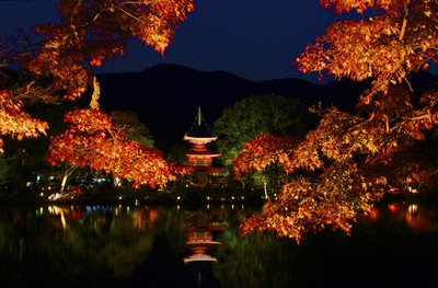 大覚寺大沢池ライトアップ 真紅の水鏡 中止となりました 京都府 の情報 ウォーカープラス
